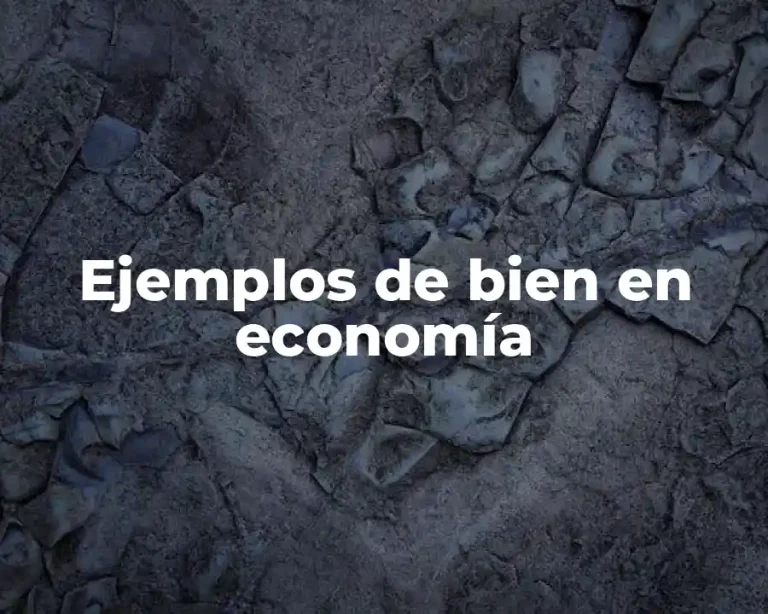 Ejemplos de bien en economía