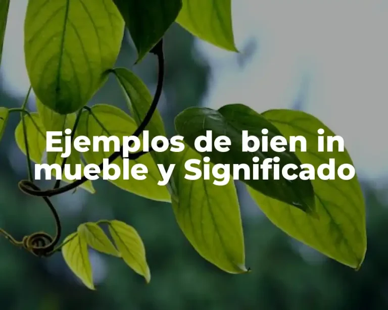 Ejemplos de bien in mueble y Significado