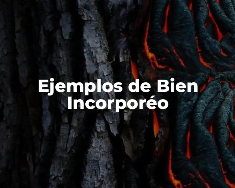 Ejemplos de Bien Incorporéo