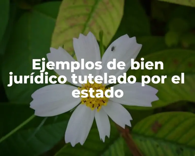 Ejemplos de bien jurídico tutelado por el estado