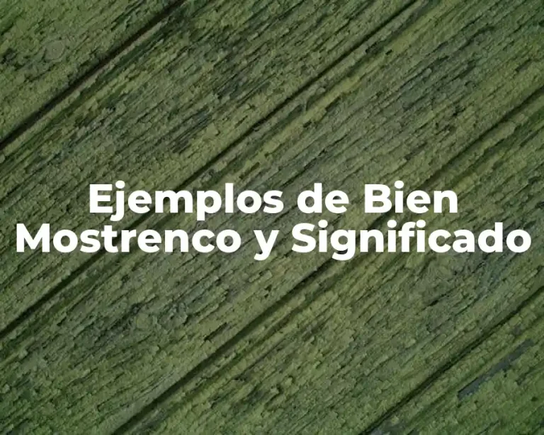 Ejemplos de Bien Mostrenco y Significado