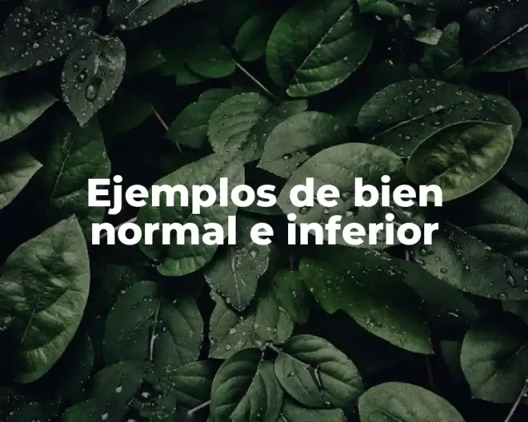 Ejemplos de bien normal e inferior