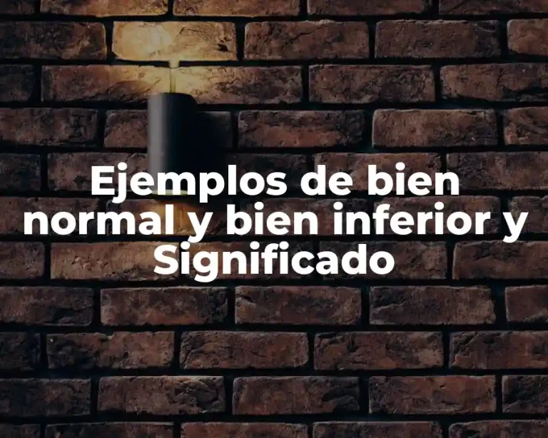 Ejemplos de bien normal y bien inferior y Significado
