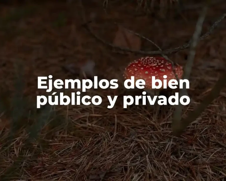 Ejemplos de bien público y privado