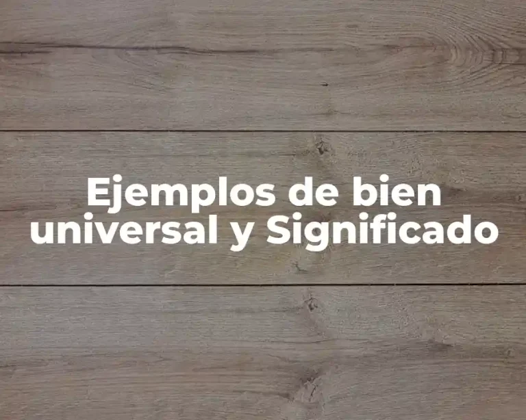 Ejemplos de bien universal y Significado