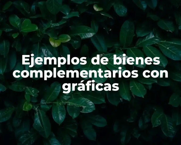 Ejemplos de bienes complementarios con gráficas