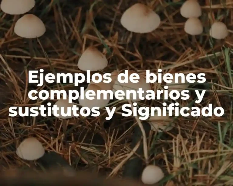 Ejemplos de bienes complementarios y sustitutos y Significado