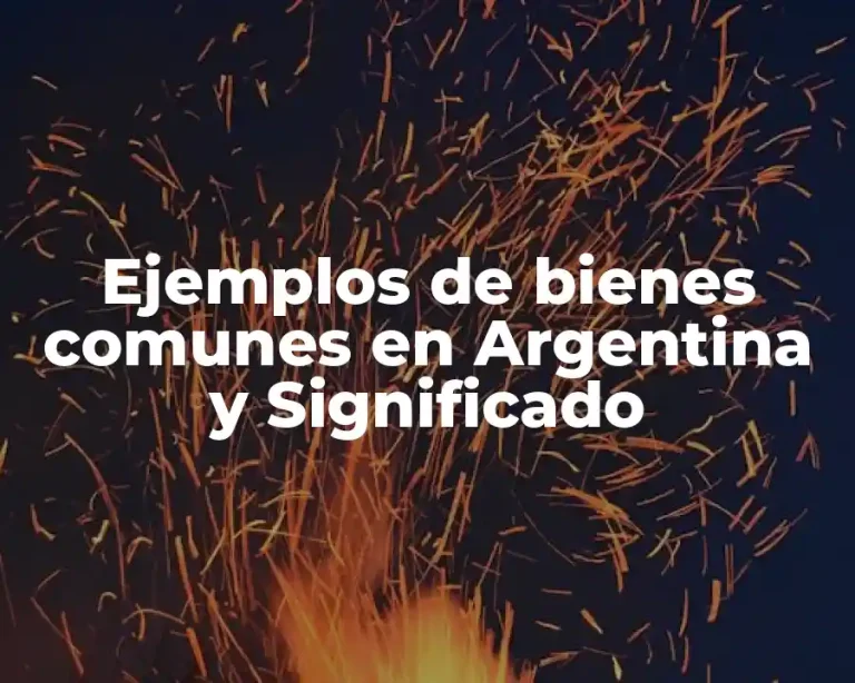 Ejemplos de bienes comunes en Argentina y Significado