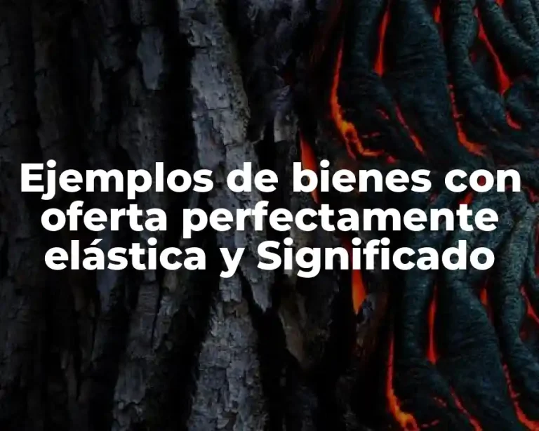 Ejemplos de bienes con oferta perfectamente elástica y Significado
