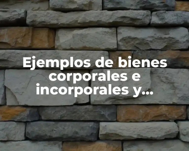 Ejemplos de bienes corporales e incorporales y Significado