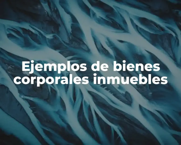 Ejemplos de bienes corporales inmuebles