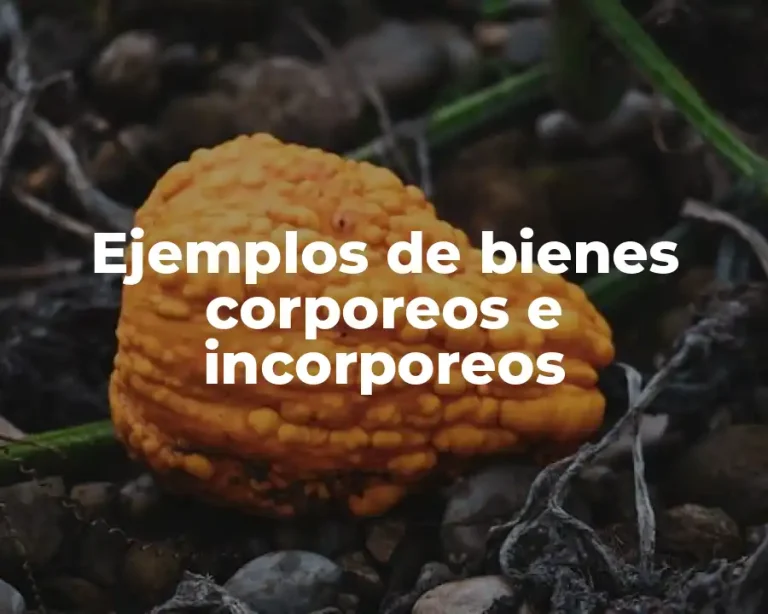 Ejemplos de bienes corporeos e incorporeos