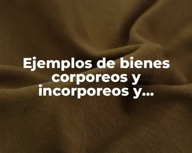 Ejemplos de bienes corporeos y incorporeos y Significado
