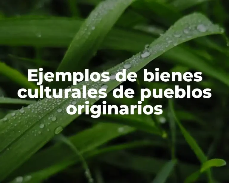 Ejemplos de bienes culturales de pueblos originarios