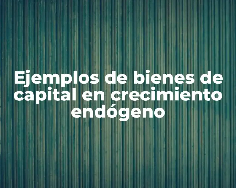 Ejemplos de bienes de capital en crecimiento endógeno