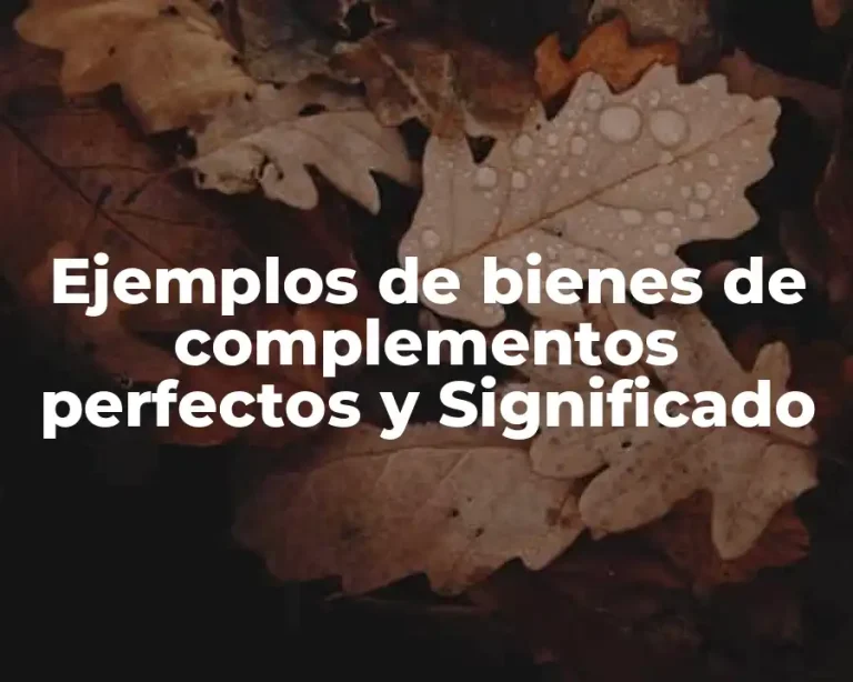 Ejemplos de bienes de complementos perfectos y Significado