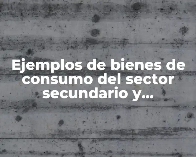 Ejemplos de bienes de consumo del sector secundario y Significado