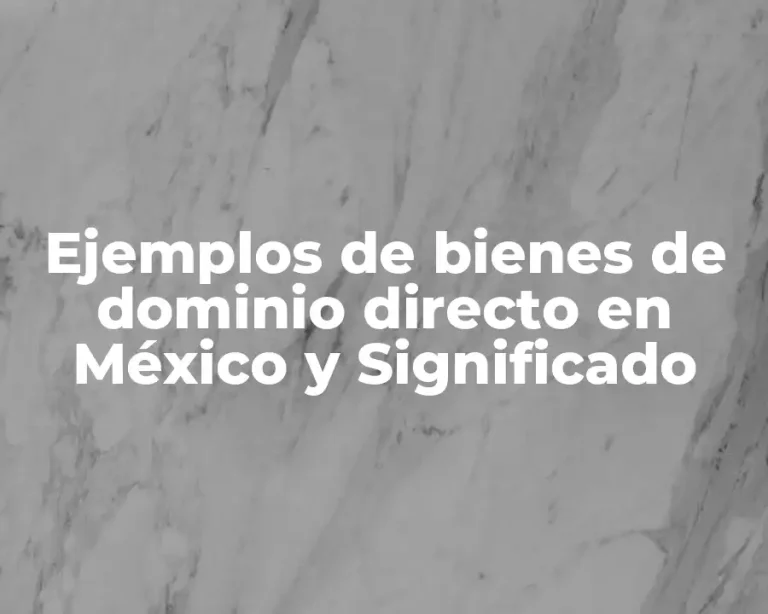 Ejemplos de bienes de dominio directo en México y Significado