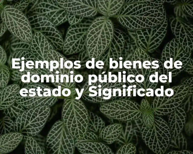 Ejemplos de bienes de dominio público del estado y Significado