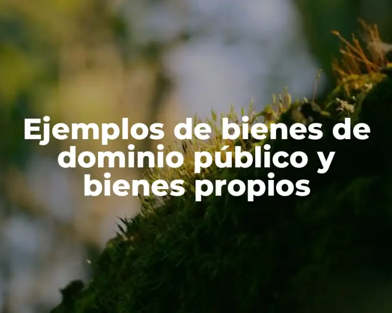 Ejemplos de bienes de dominio público y bienes propios