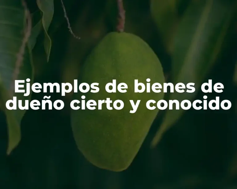 Ejemplos de bienes de dueño cierto y conocido