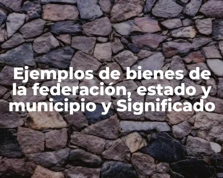 Ejemplos de bienes de la federación, estado y municipio y Significado