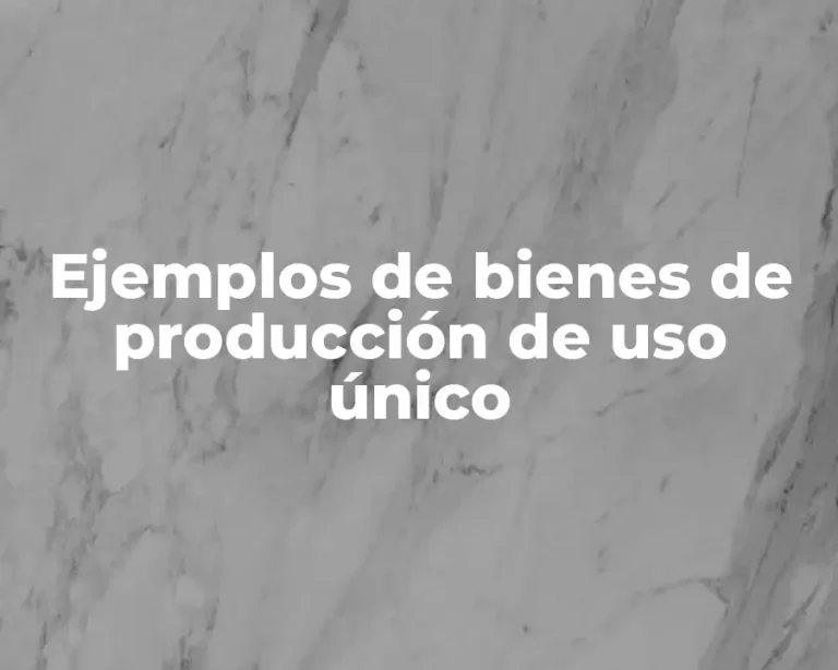 Ejemplos de bienes de producción de uso único