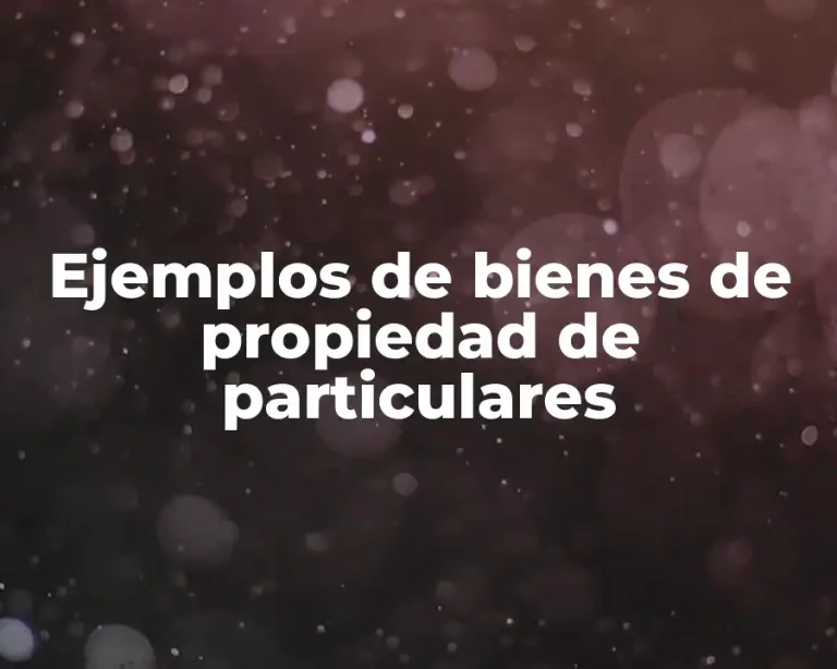 Ejemplos de bienes de propiedad de particulares