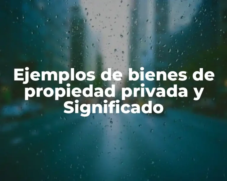 Ejemplos de bienes de propiedad privada y Significado