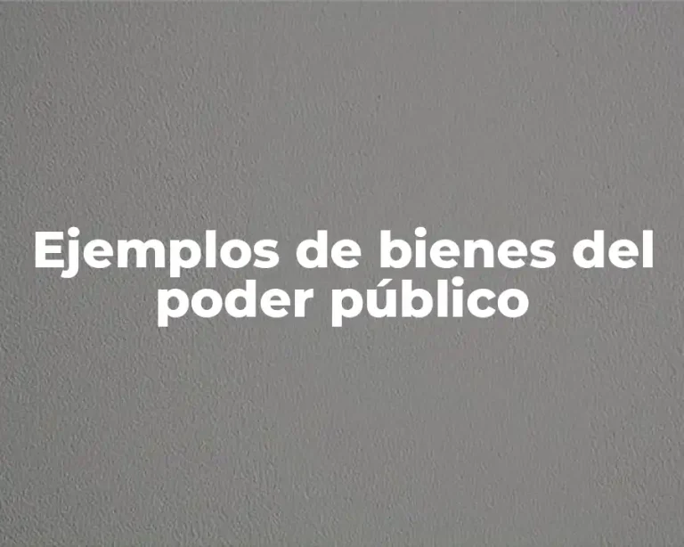 Ejemplos de bienes del poder público