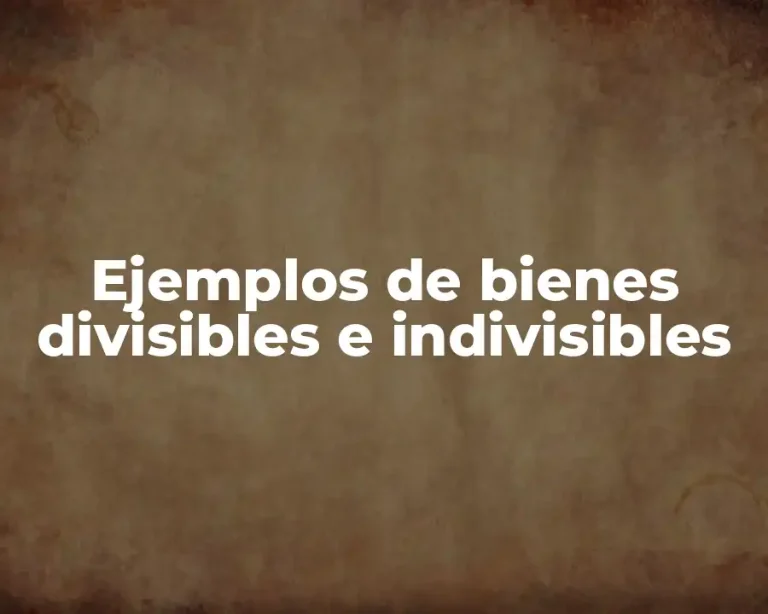 Ejemplos de bienes divisibles e indivisibles