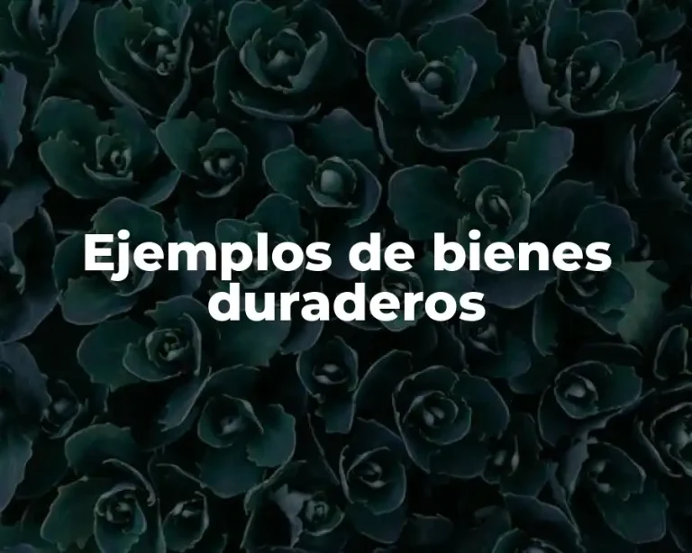 Ejemplos de bienes duraderos