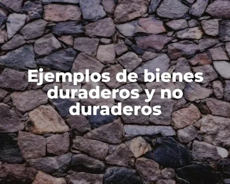 Ejemplos de bienes duraderos y no duraderos