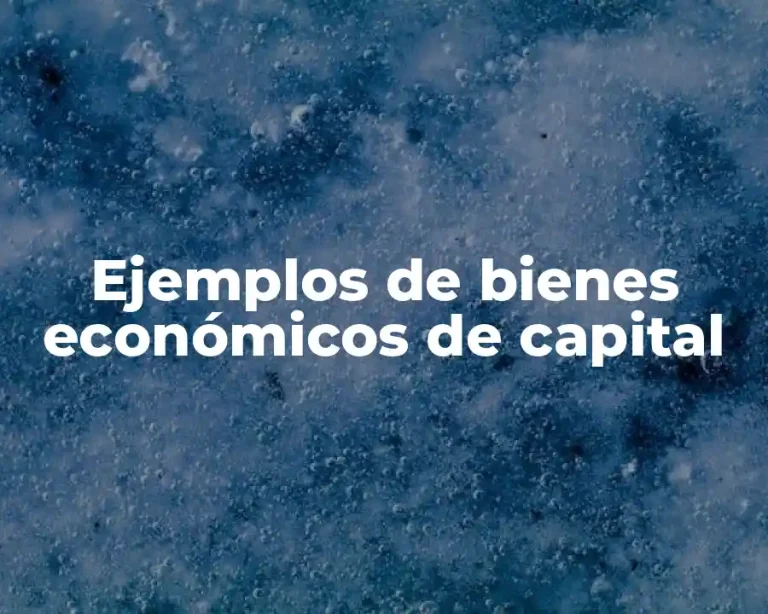 Ejemplos de bienes económicos de capital