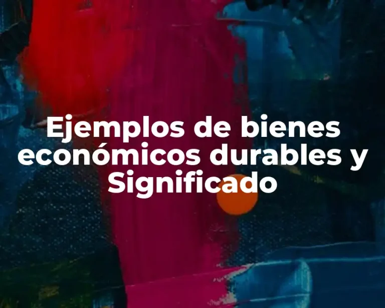Ejemplos de bienes económicos durables y Significado