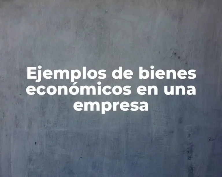 Ejemplos de bienes económicos en una empresa