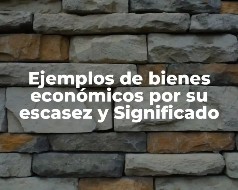 Ejemplos de bienes económicos por su escasez y Significado