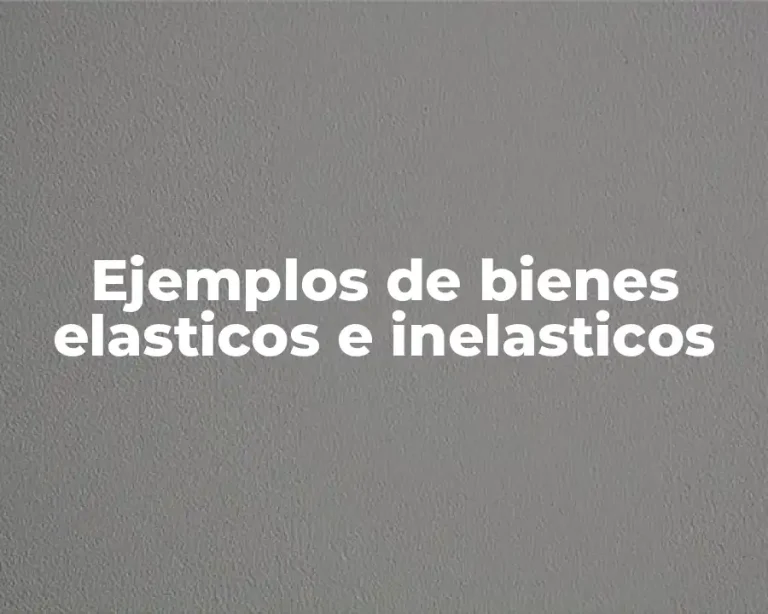 Ejemplos de bienes elasticos e inelasticos