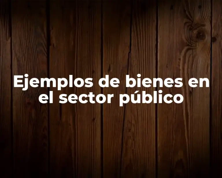Ejemplos de bienes en el sector público
