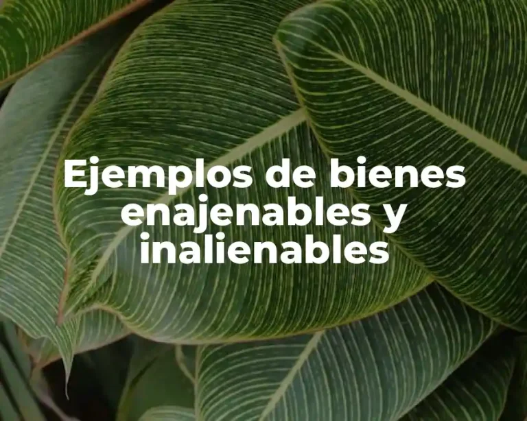 Ejemplos de bienes enajenables y inalienables