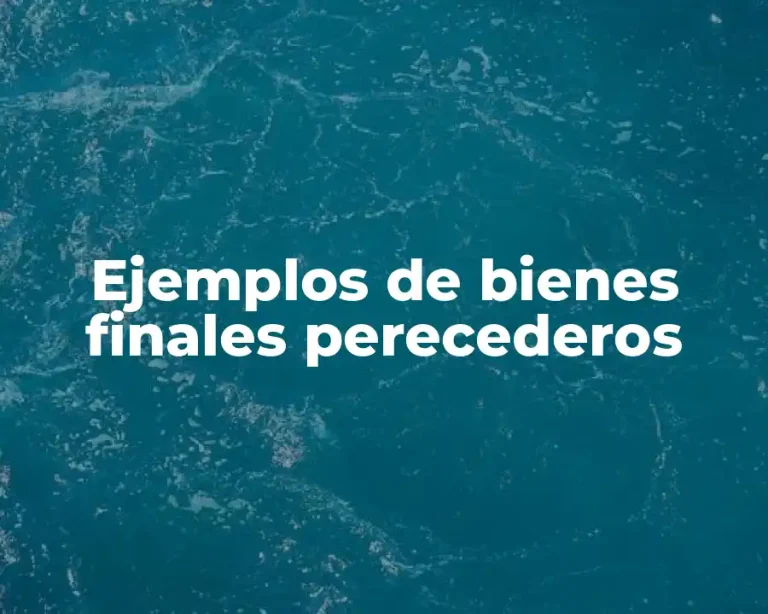 Ejemplos de bienes finales perecederos