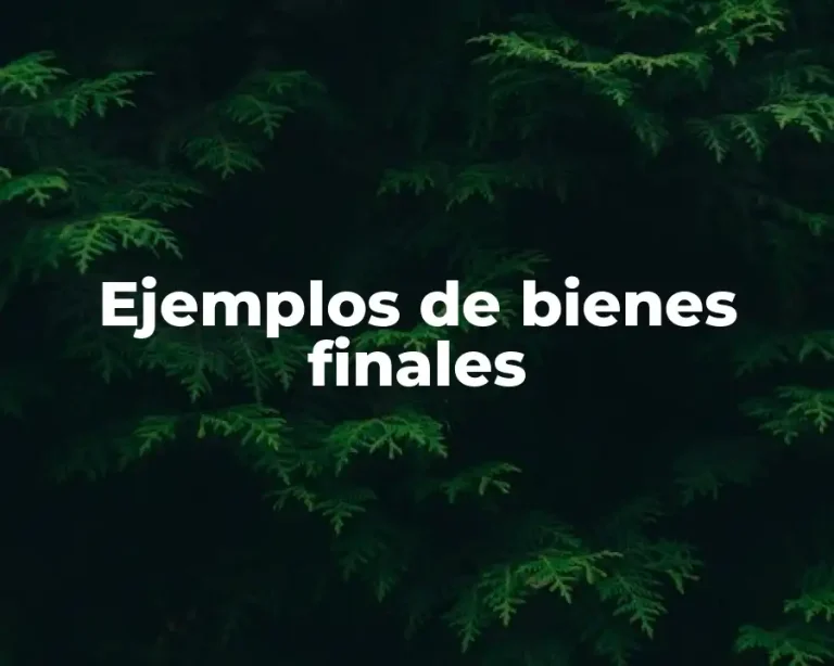 Ejemplos de bienes finales