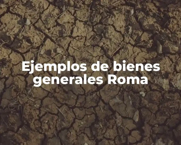 Ejemplos de bienes generales Roma