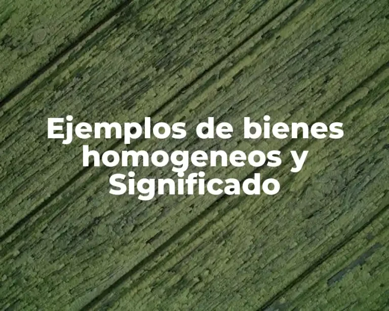 Ejemplos de bienes homogeneos y Significado
