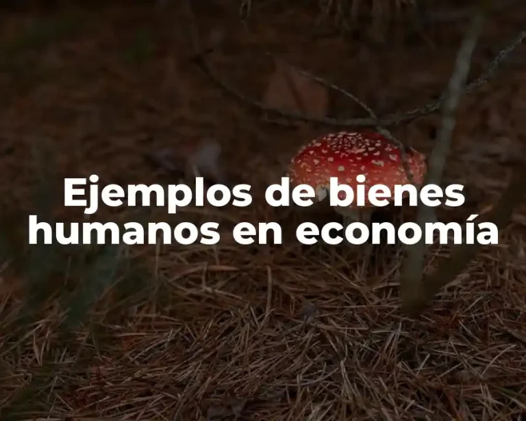 Ejemplos de bienes humanos en economía