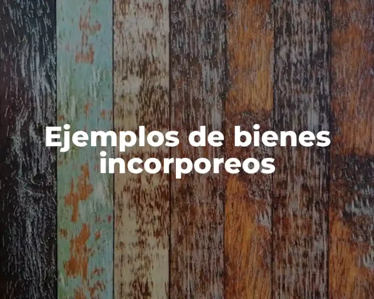 Ejemplos de bienes incorporeos