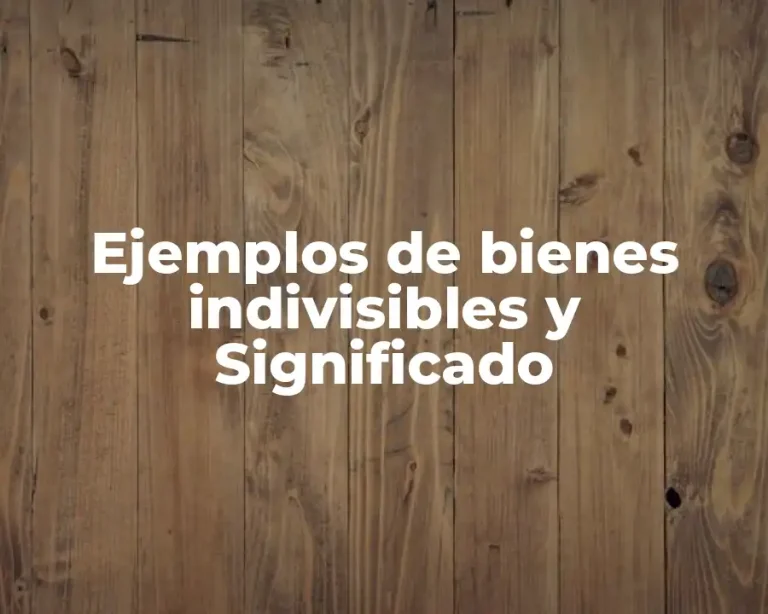 Ejemplos de bienes indivisibles y Significado