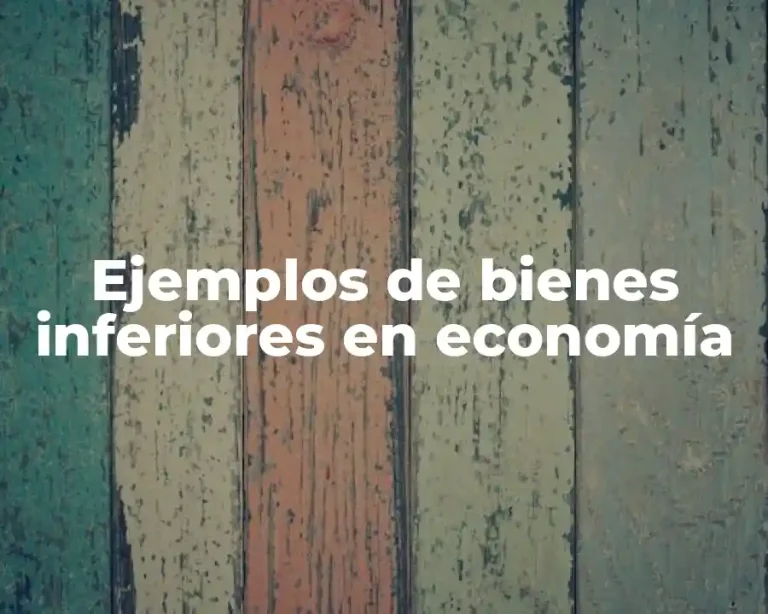 Ejemplos de bienes inferiores en economía