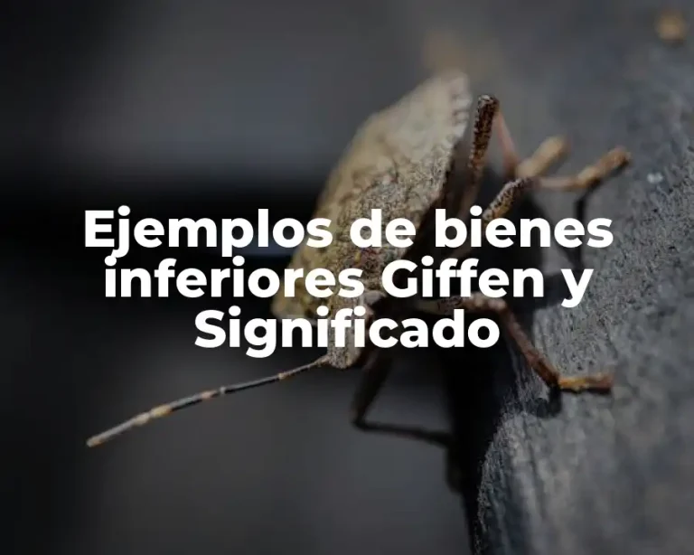 Ejemplos de bienes inferiores Giffen y Significado