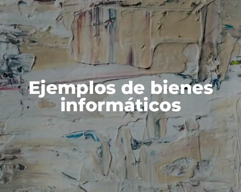 Ejemplos de bienes informáticos